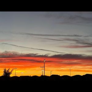 Meet your Posher, Frankie